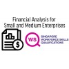 WSQ - Financial Analysis for Small and Medium Enterprises 