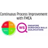 WSQ - Continuous Process Improvement with FMEA
