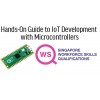 WSQ - Hands-On Guide to IoT Development with Microcontrollers