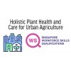 WSQ - Holistic Plant Health and Care for Urban Agriculture