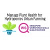 WSQ - Manage Plant Health for Hydroponics Urban Farming