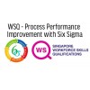 WSQ - Process Performance Improvement using Six Sigma Methodology