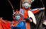 Roots of the Future: A Sichuan – Chongqing Tech & Culture Family’s Education Tour 未来探源: 川渝科技人文亲子研学之旅