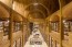 Roots of the Future: A Sichuan – Chongqing Tech & Culture Family’s Education Tour 未来探源: 川渝科技人文亲子研学之旅